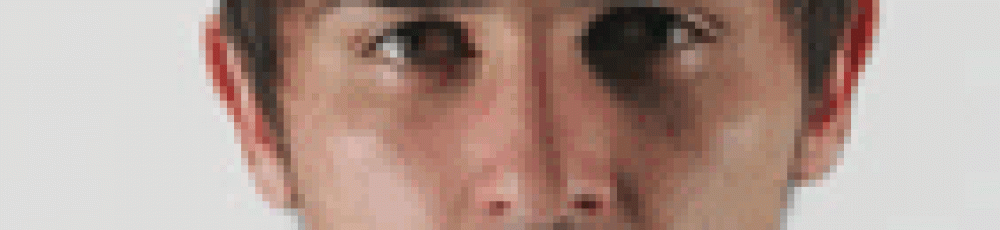 dvilla.gif