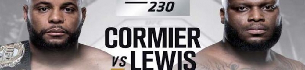 UFC 230